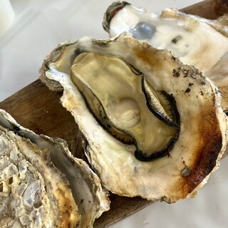 海湖館きらく市食堂_0