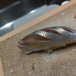 吉凰 はなれ - コハダ