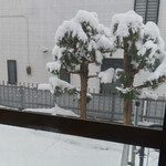 Cafe N225 - 窓の外は雪