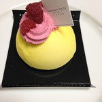 カズノリ イケダ アンディヴィデュエル - モニカベルッチ（440円）