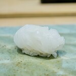 鮨 さいとう はなれ NANZUKA - アオリイカ