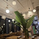 センディーテラス - 