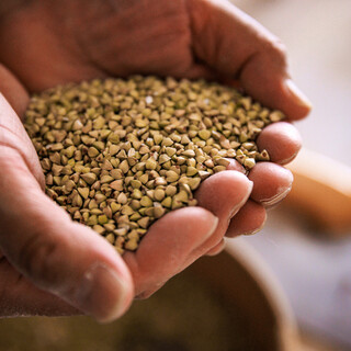 手打ち蕎麦 たがた_2