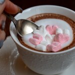 カーム ガーデン - 