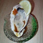 ↑↑↓↓←→←→BABA - 