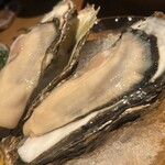 かき小屋 厚岸水産 千種駅前店 - 