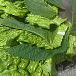 焼肉 うしゆき - サンチュ（ごまのは付き）