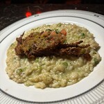 THE COMMA,Italian Terrace NAMBA - 