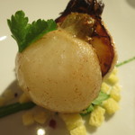 レフェルヴェソンス - 