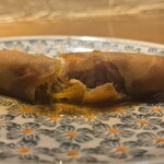 フィッシュ アパートメント - 