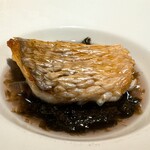 フィッシュ アパートメント - 