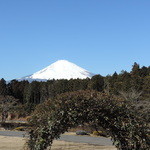 タンタローバ デル ミュゼオ 御殿場 - 