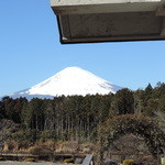 タンタローバ デル ミュゼオ 御殿場 - 