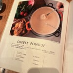 CHEESE KITCHEN RACLER - 