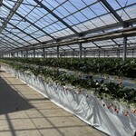 陽だまり農園 - 