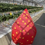 陽だまり農園 - 