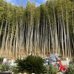 BABYFACE SKY TERRACE - 