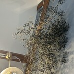 ディグルパン - 