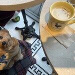 GOODIES RIVERSIDE STAND - クラムチャウダーとくるみちゃん