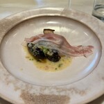 メログラーノ - 