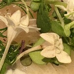 ビストロ チック 六本木 - カルパッチョにのってるお花。食べられます！