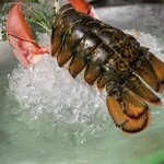 銀座うかい亭 - 