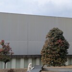 カフェ ミライ - 【経路③-2】ピアノを弾くシロクマ‍❄️