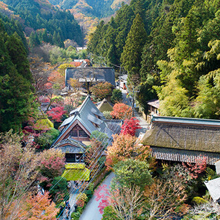 東京だということを忘れさせる日本の懐かしき原風景