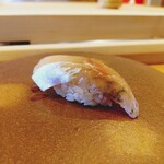 鮨 十兵衛 - あじ（追加）