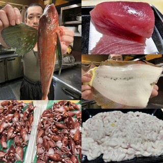 2026/02/12日替わりオススメ鮮魚♪