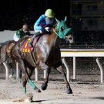 さくら水産 - ジゼルの激走に胸熱！