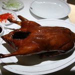 SPRING MOON - 北京ダック１羽