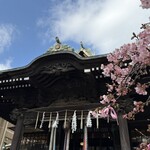 ベッカライ・ブロートハイム - 桜神宮の河津桜は3分咲き程度でした