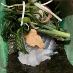 はらまさ - お造りのアップ