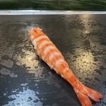 스시 카네시로