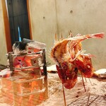 炭火焼き 路地裏かど - 