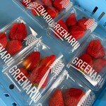 グリナリウム淡路島 - 