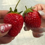 グリナリウム淡路島 - 