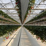 グリナリウム淡路島 - 