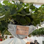 グリナリウム淡路島 - 