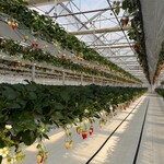 グリナリウム淡路島 - 