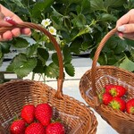 グリナリウム淡路島 - 