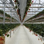 グリナリウム淡路島 - 