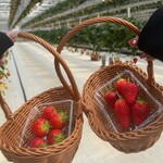 グリナリウム淡路島 - 