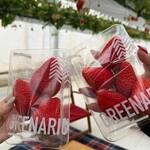 グリナリウム淡路島 - 