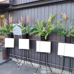 和処えん - 開店祝いのお花