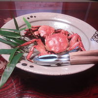 飴源 - ツガニ