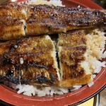 うな神 - うなぎ丼（上）