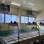 生ゆば処 町田屋 - 