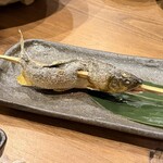 越後屋 彦左衛門 - 紀州鮎炭火焼　